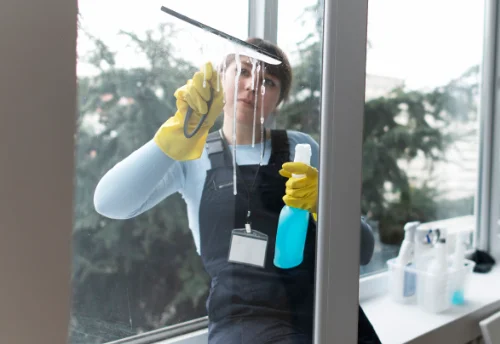 Nettoyage de vitres intérieures et extérieures à Saint-Macaire-du-Bois